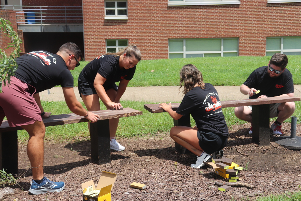 Sanding Benches