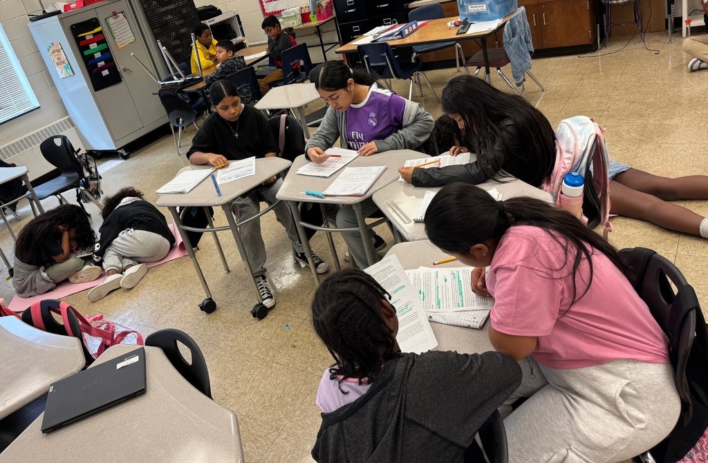 5th Grade Partner Reading
