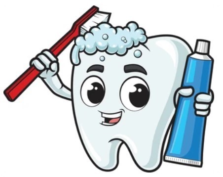A smiling tooth being "washed" with a toothbrush and toothpaste"