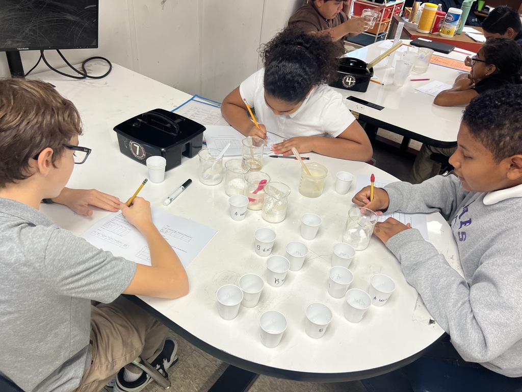 lab