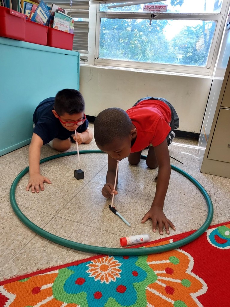 force and motion