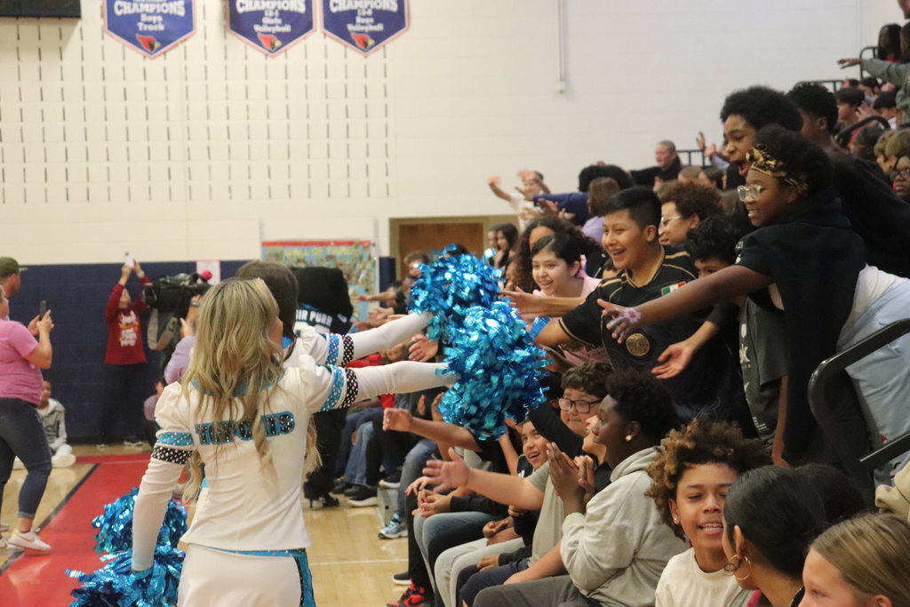 TopCats