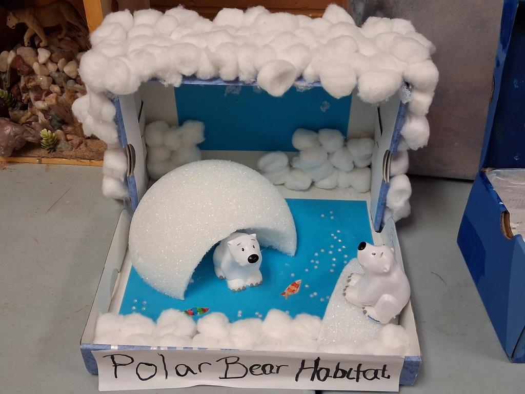 Learning Comes to Life! Our students designed animal habitats to show how creatures survive in their environments. We’re so proud of their creativity and hard work!