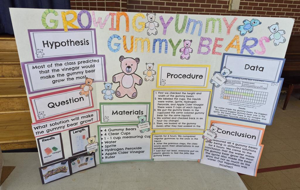 Woody's Class Project