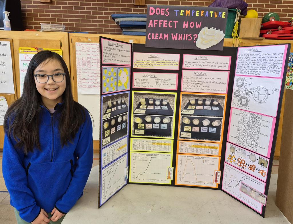 Lilly Independent Project