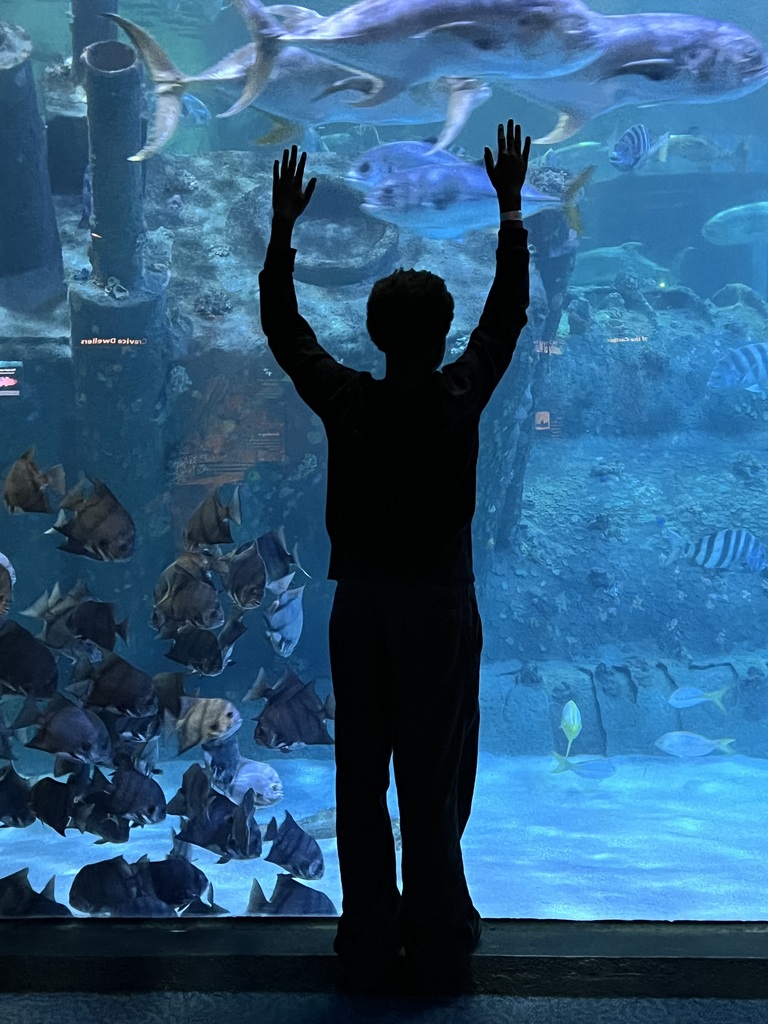 Aquarium