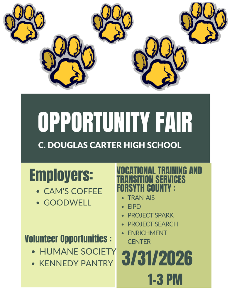 Green Modern Job Fair