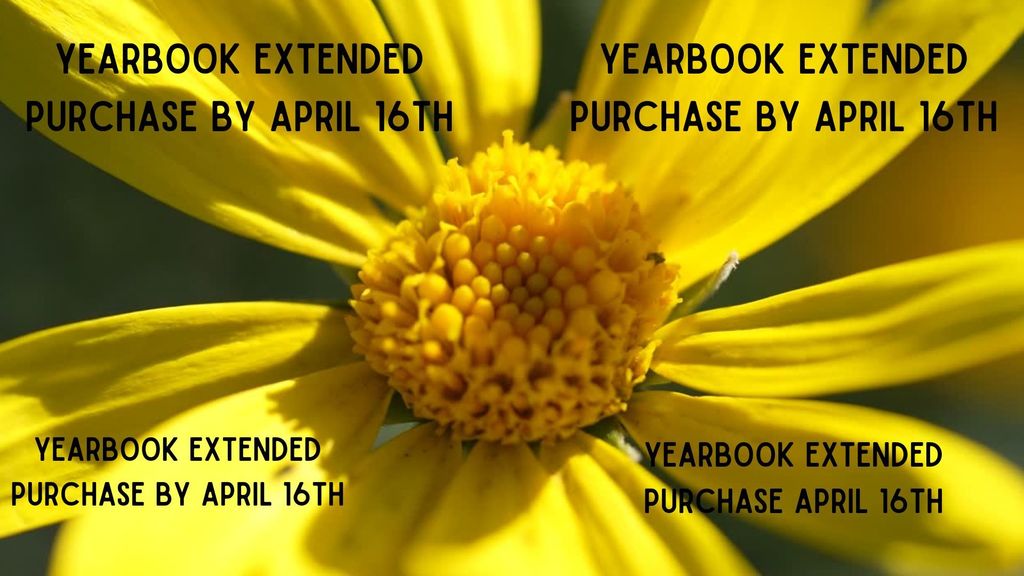 Yearbook order
