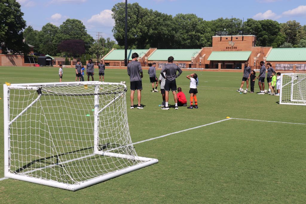 Soccer Pitch