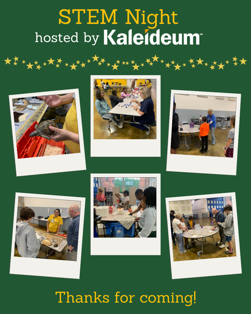 STEM Night