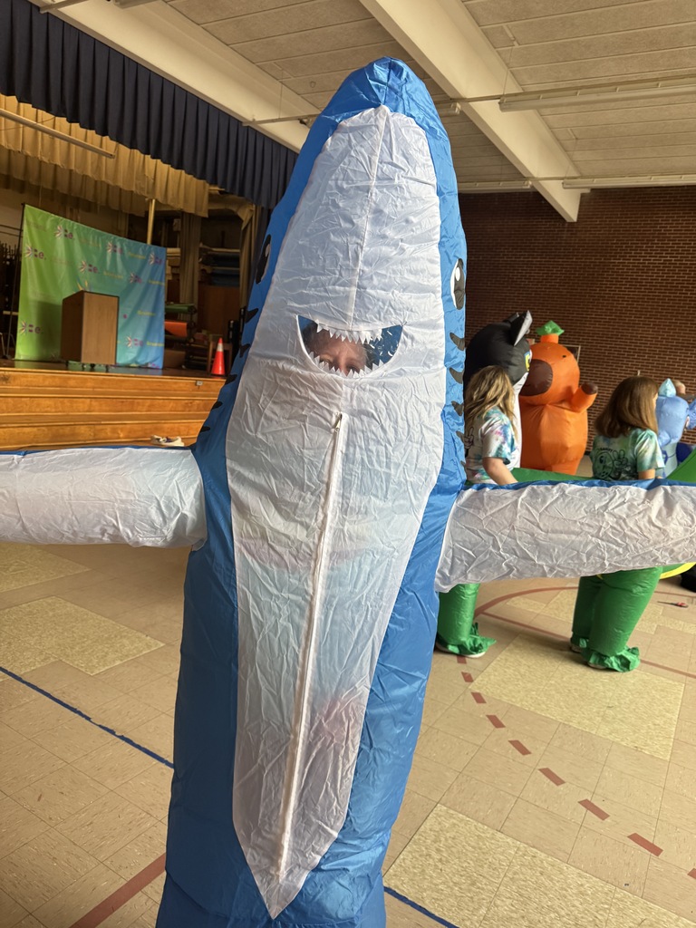 shark 