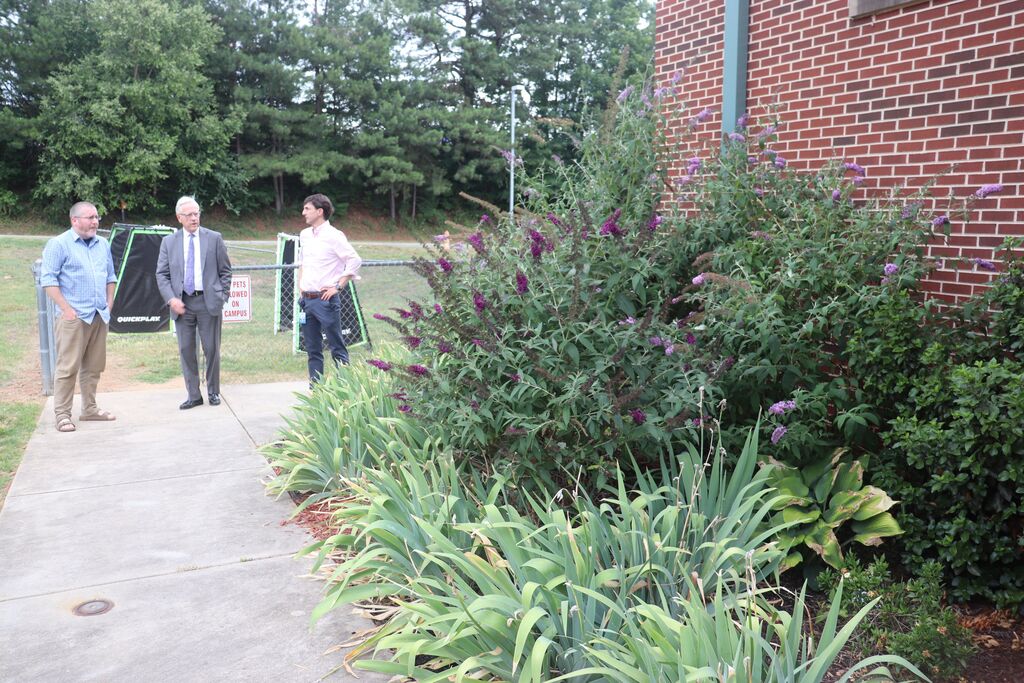 Butterfly Garden