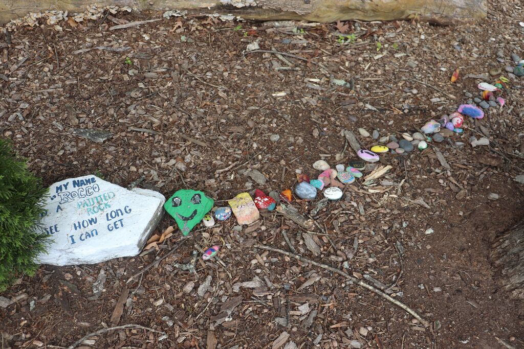 Rock Garden