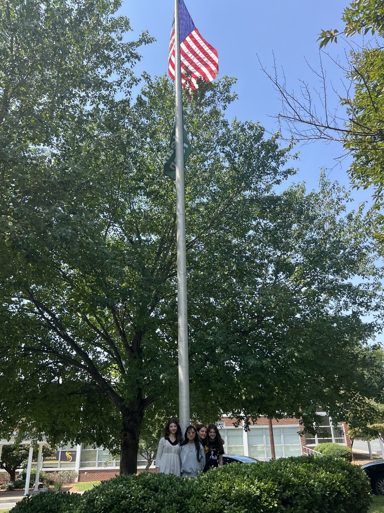 flag