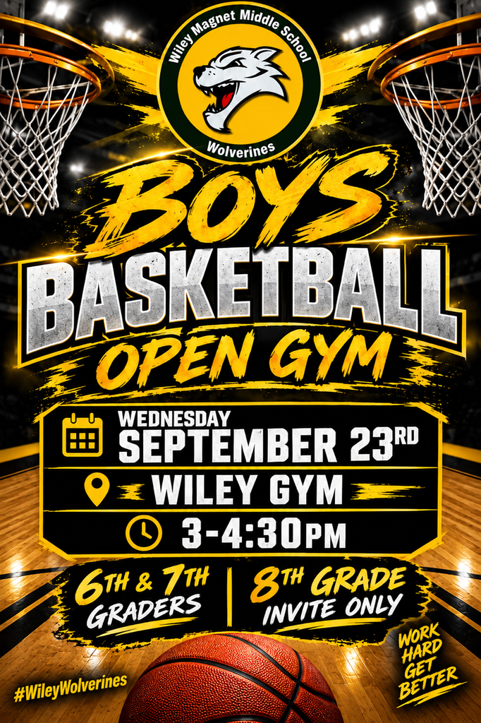 Open Gym