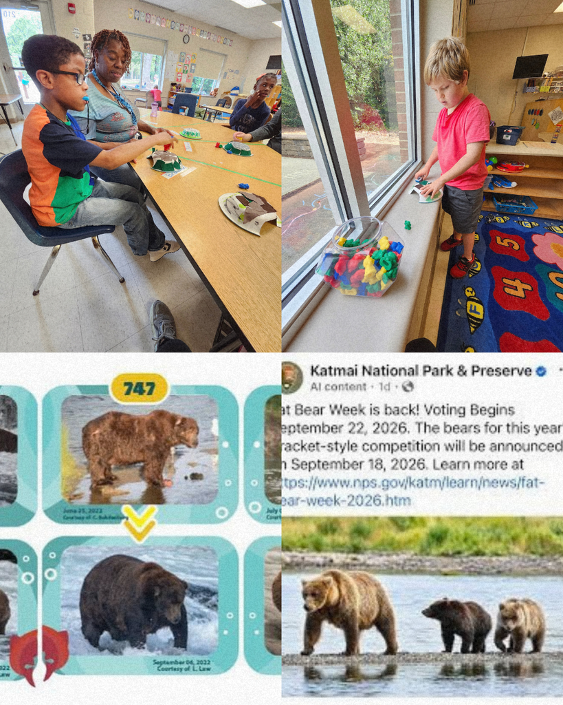 Fat Bear Week  ( Science Lesson) 