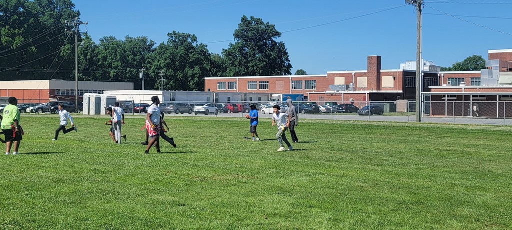 Field
