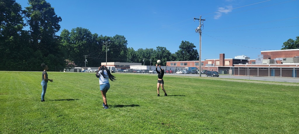 Field