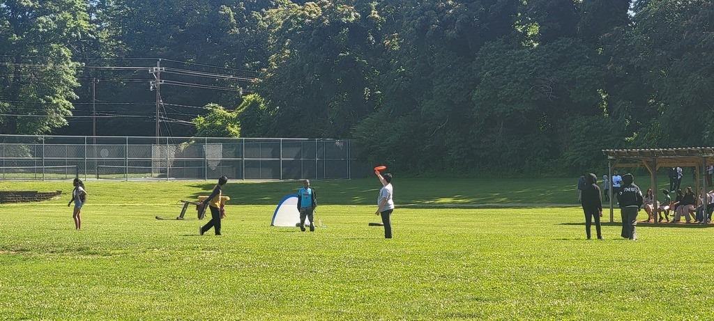 Field