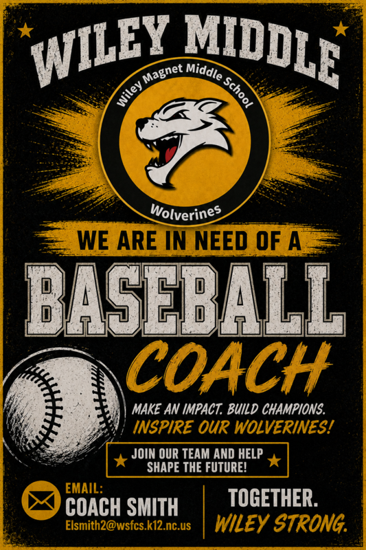 Baseball Coach