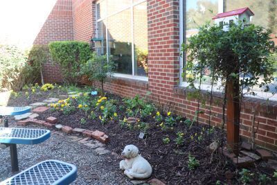 Flowers, bushes, birdhouses