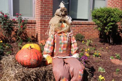 Seasonal Decor