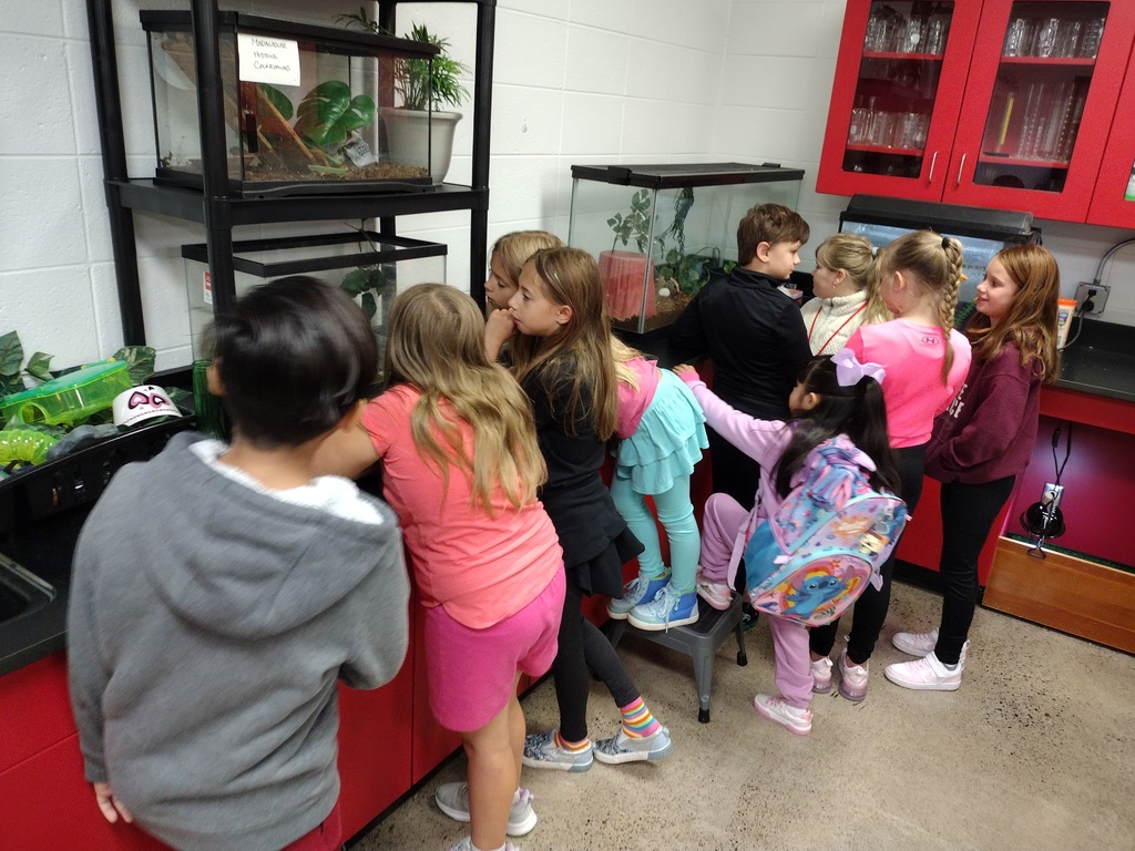 Winter School District