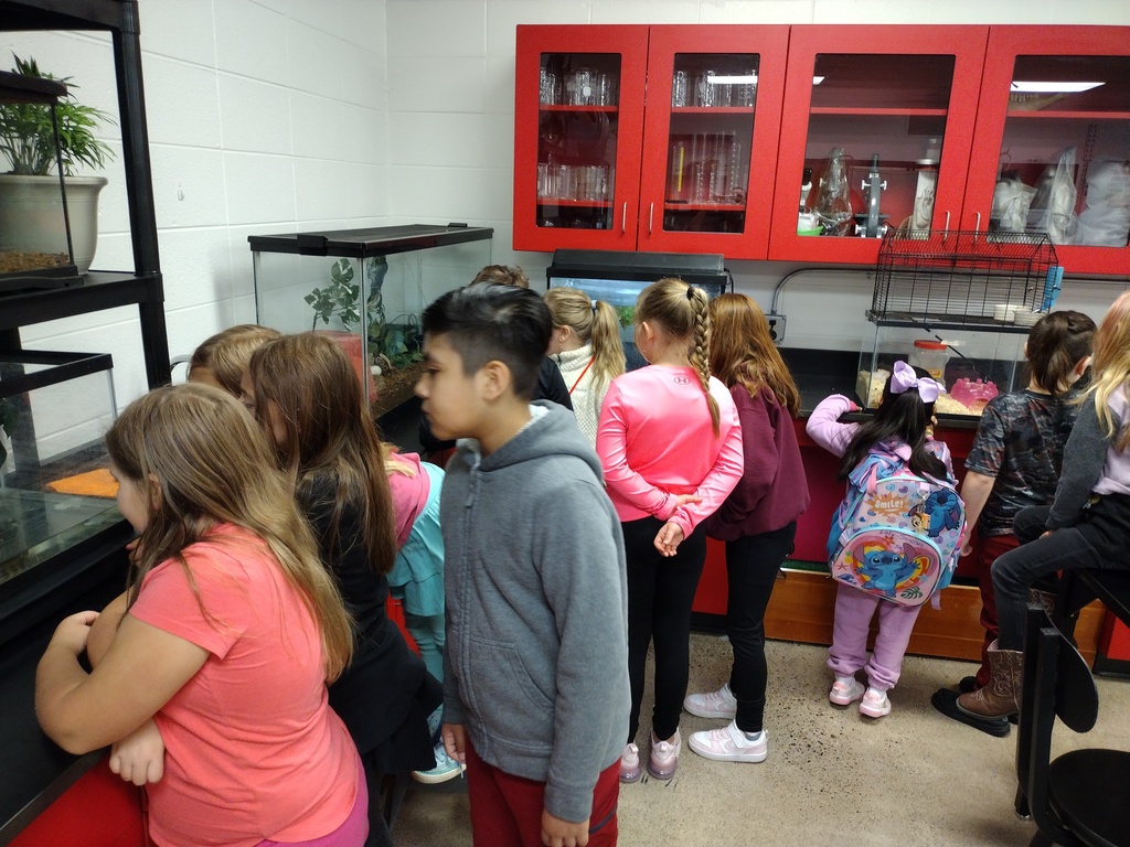 Winter School District