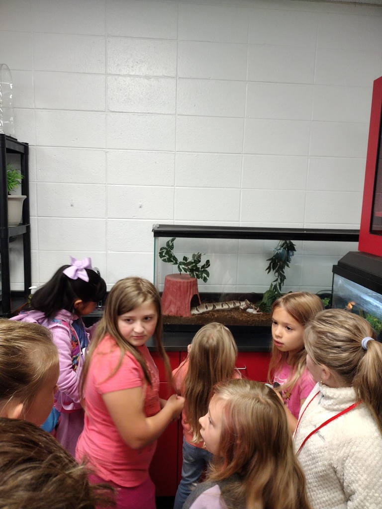 Winter School District