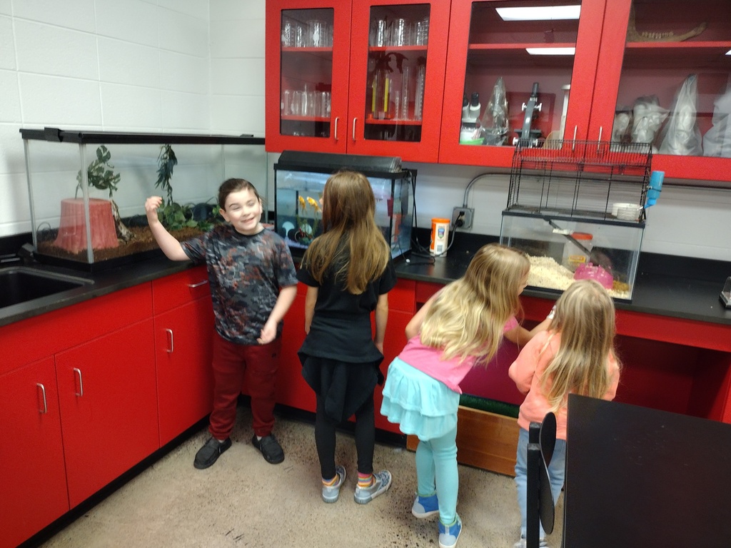 Winter School District