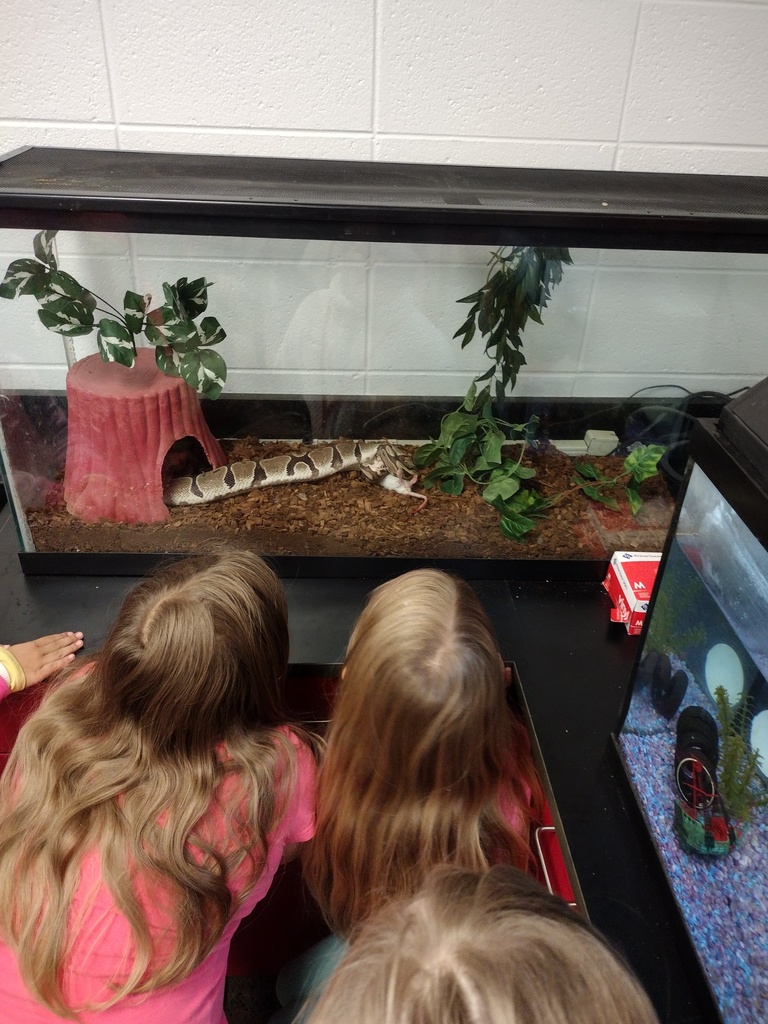 Winter School District