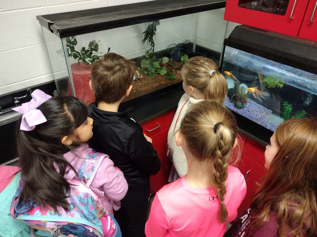 Winter School District