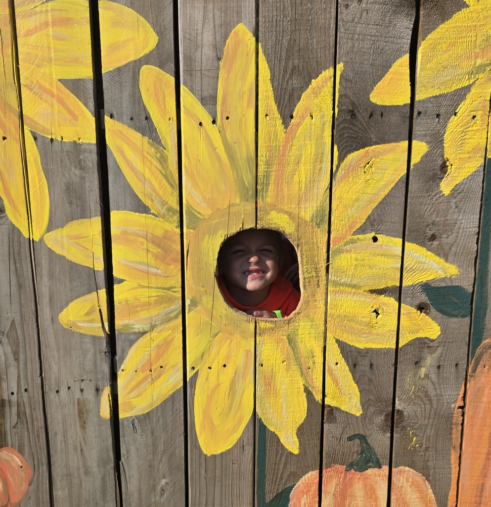 Winter School District