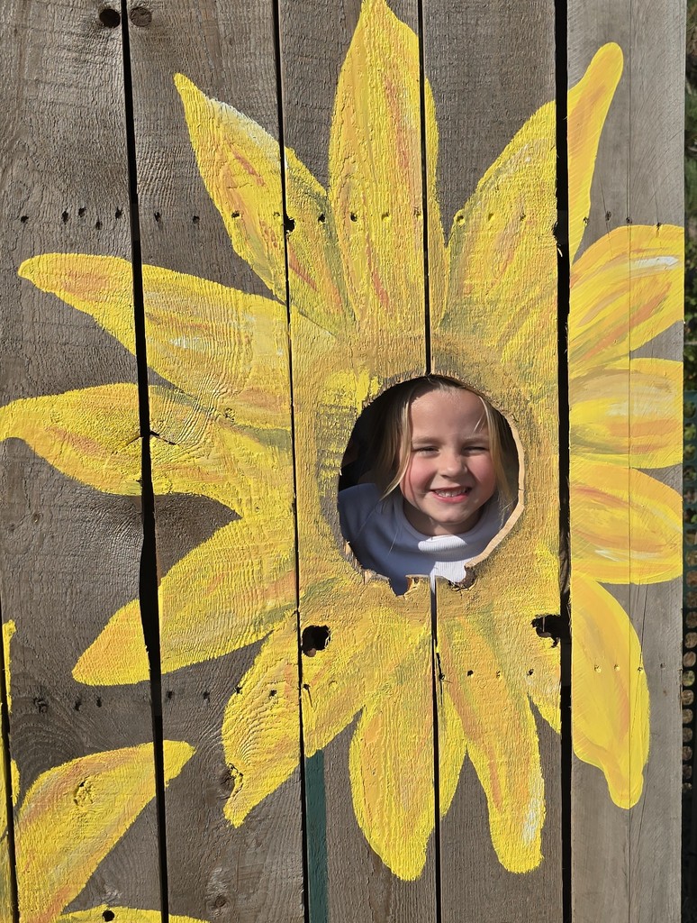 Winter School District