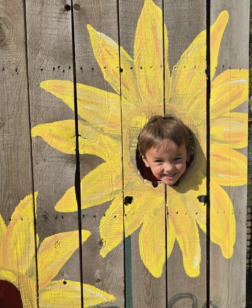 Winter School District