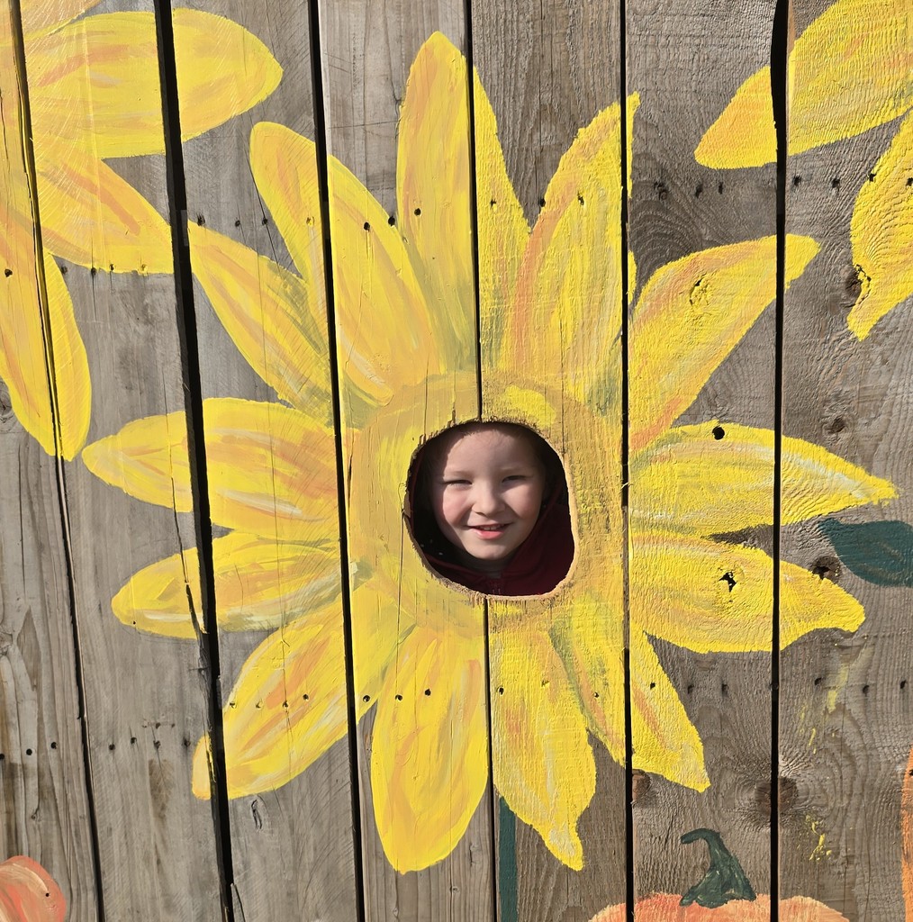 Winter School District