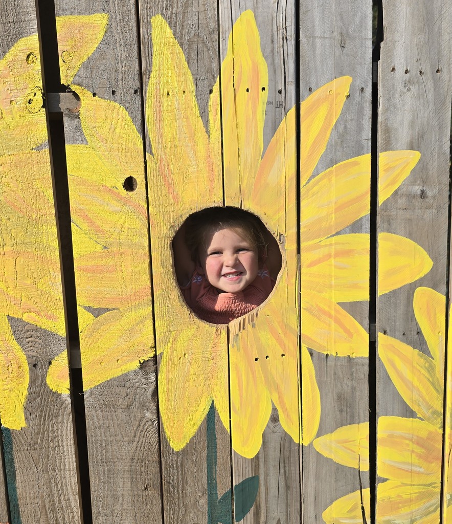 Winter School District