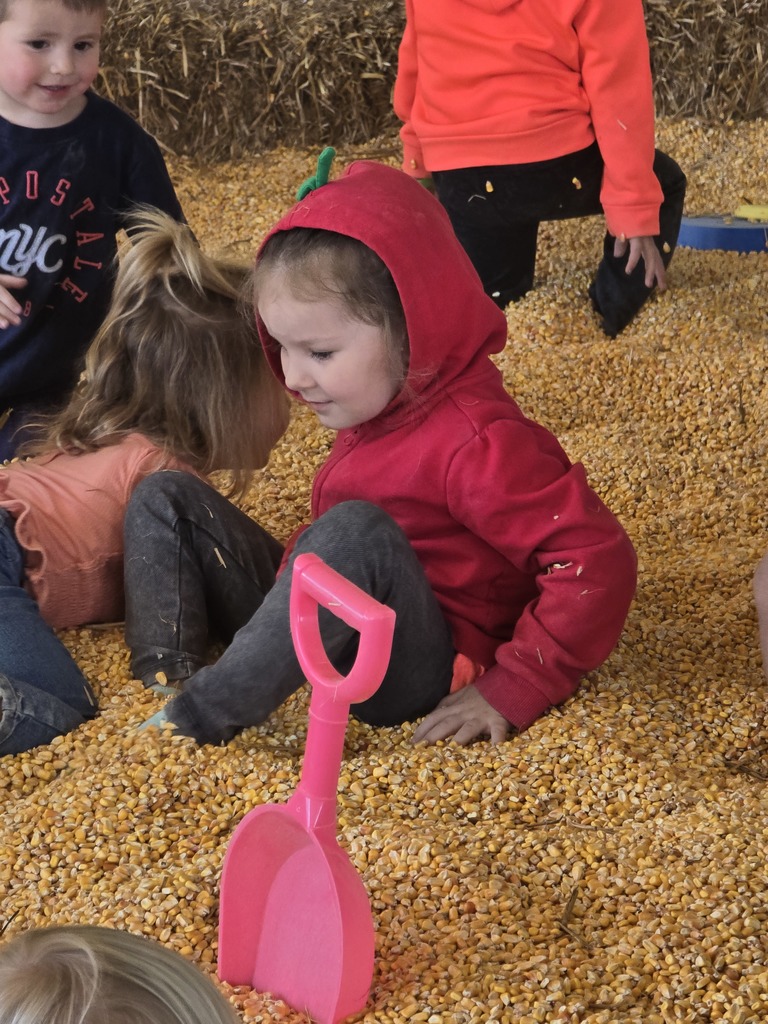 Winter School District