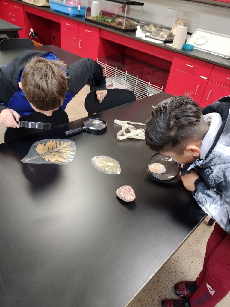 Winter School District