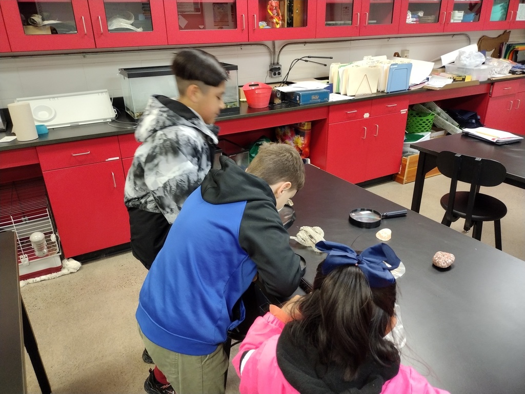 Winter School District