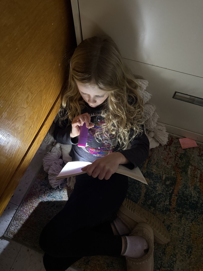 Winter School District