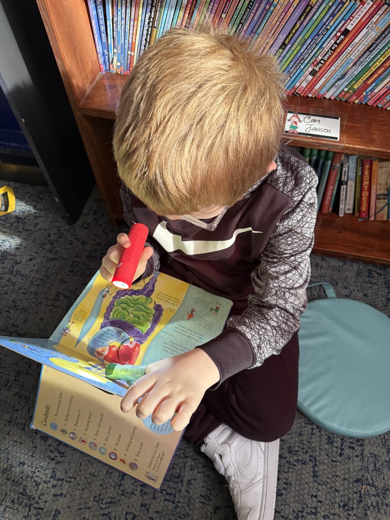 Winter School District