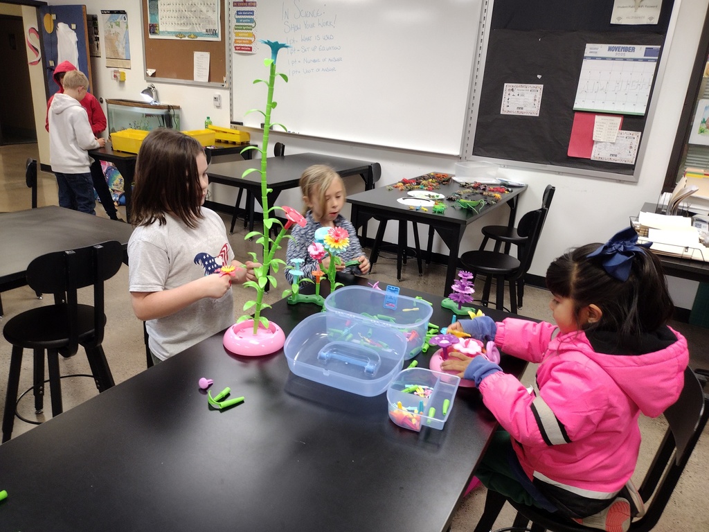 Winter School District