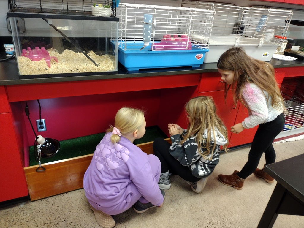 Winter School District