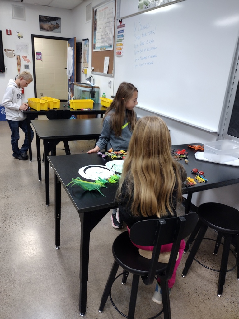 Winter School District