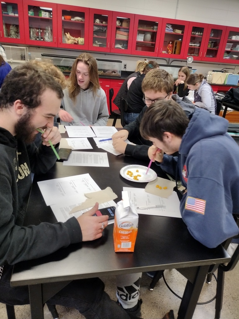 Winter School District