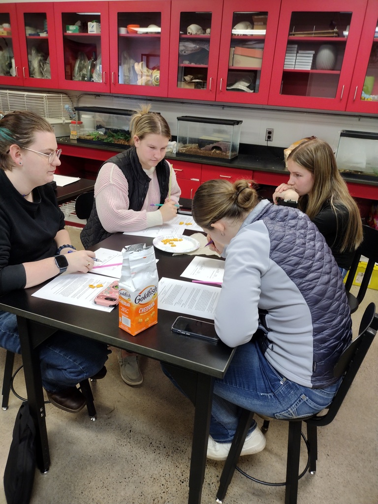 Winter School District