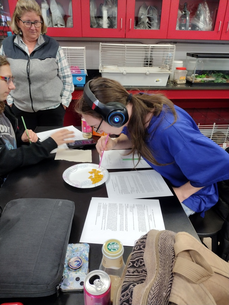 Winter School District