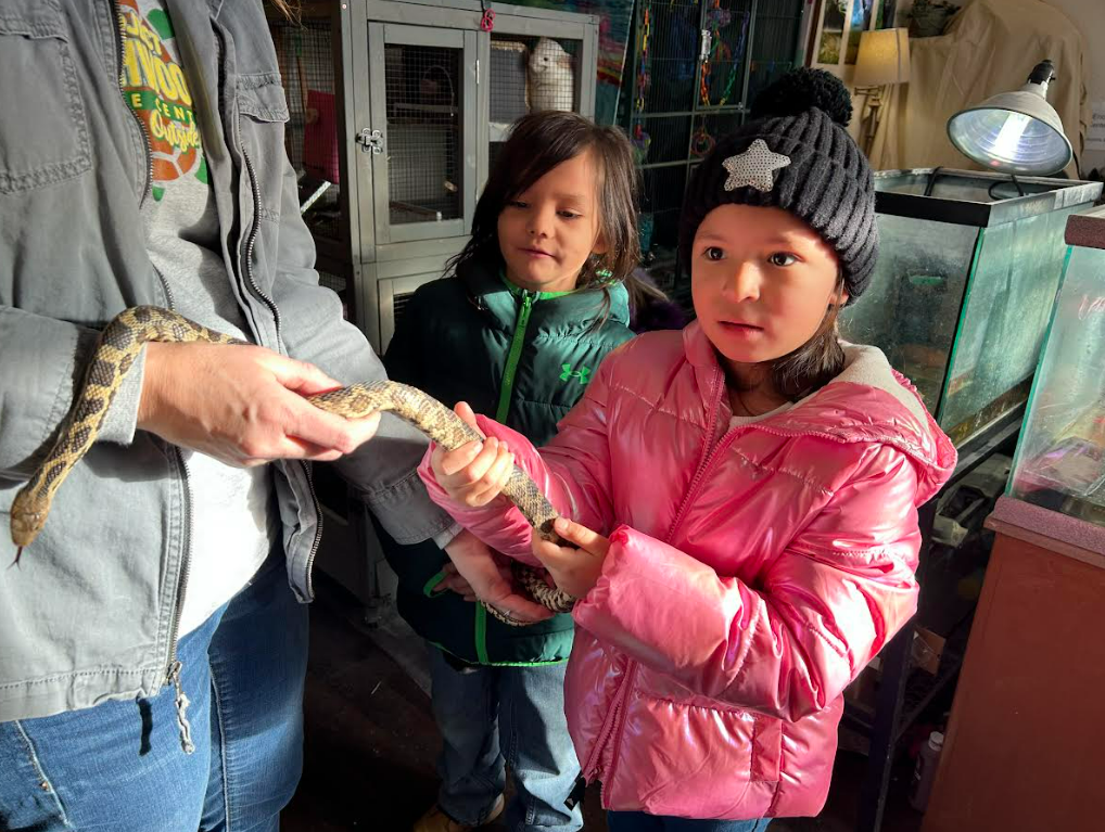 Winter School District