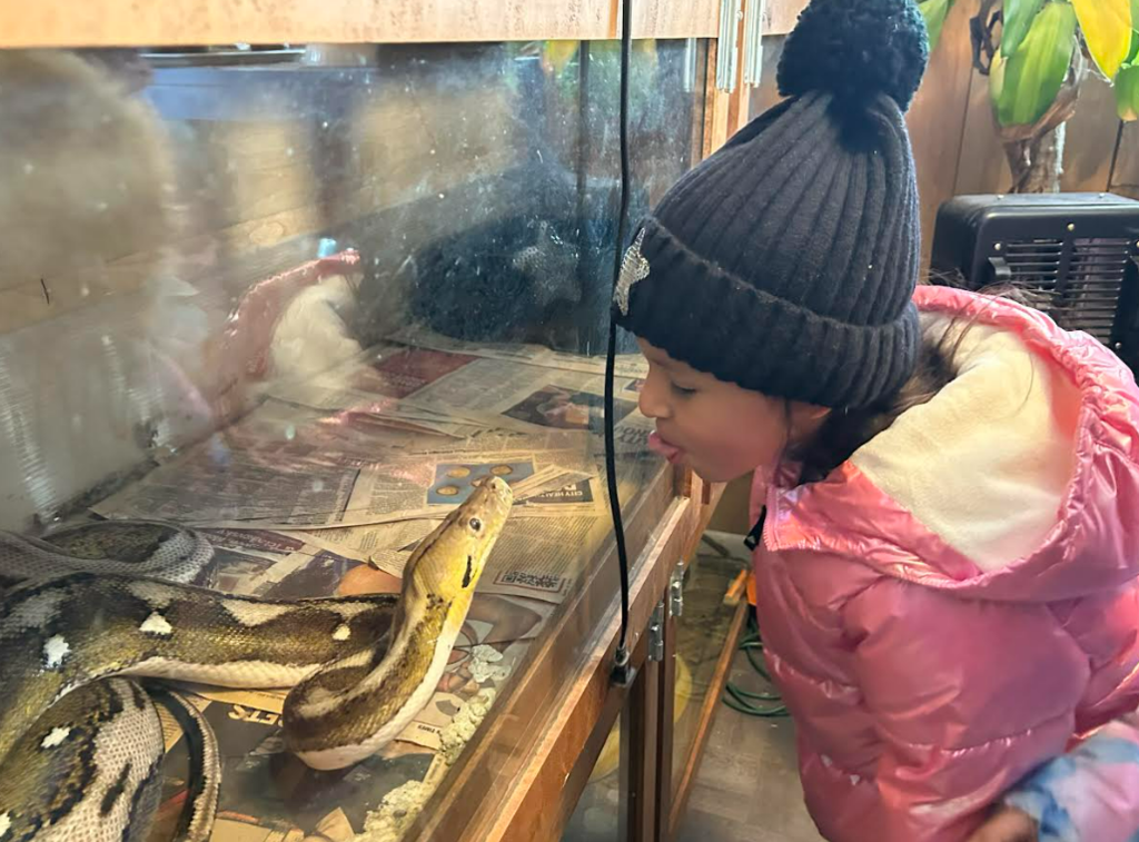 Winter School District